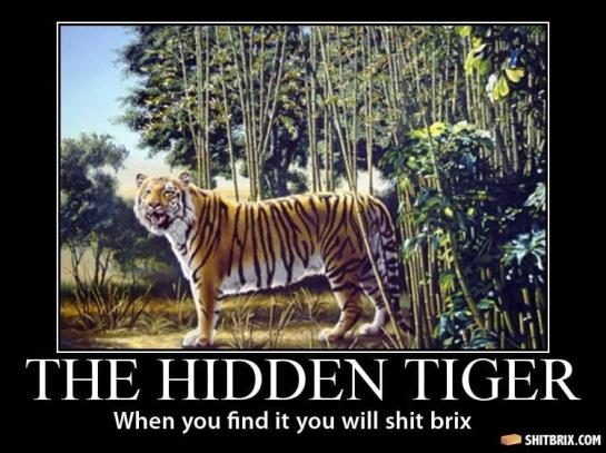 Pictures of Shit Brix The-hidden-tiger-92178